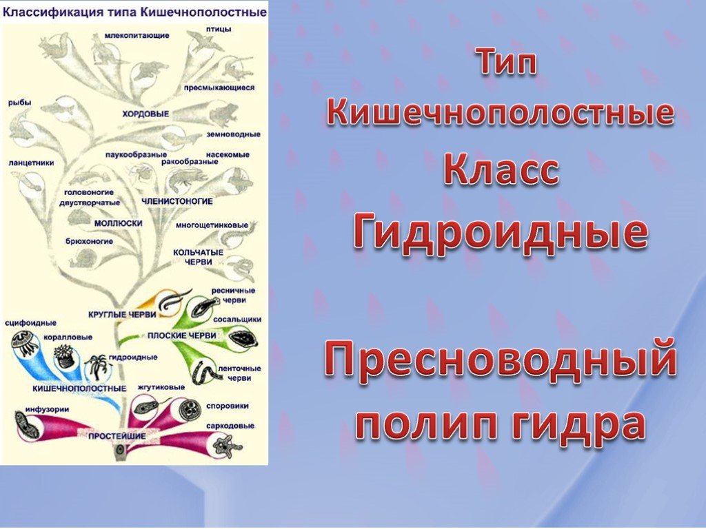 Сайты с наркотой