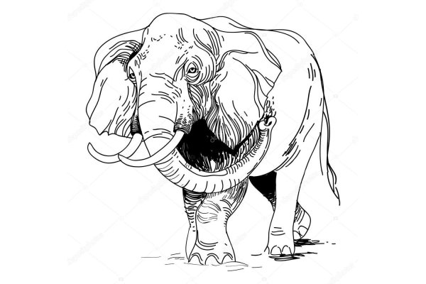 Krakin13 at