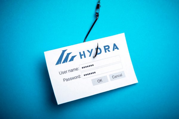 Kraken darknet зеркала