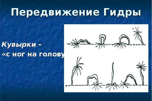 Спрут мега кракен