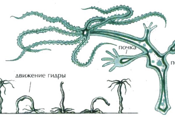 Не заходит на кракен