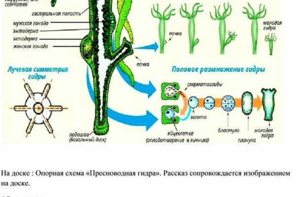 Kraken clear ссылка