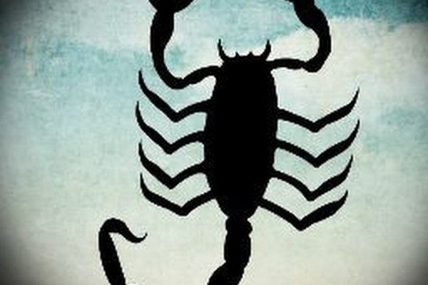 Kraken 26 at