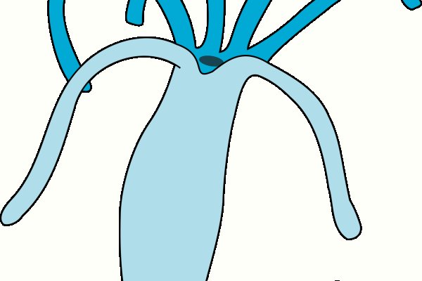 Kraken официальная ссылка tor
