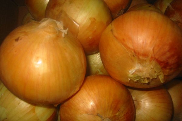 Ссылка на кракен onion kraken dark link