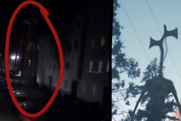 Solaris даркнет