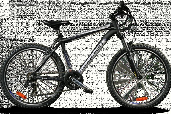 Kraken 19 at